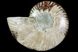 Agatized Ammonite Fossil (Half) - Madagascar #114938-1